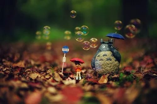 火狐电竞官方网站