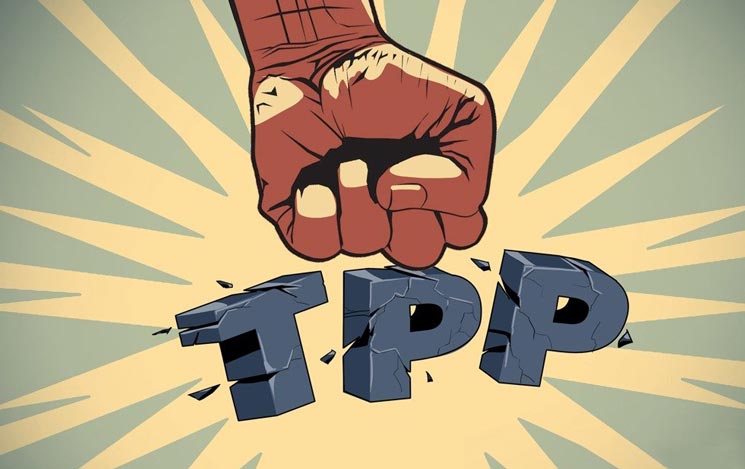 火狐电竞官方网站