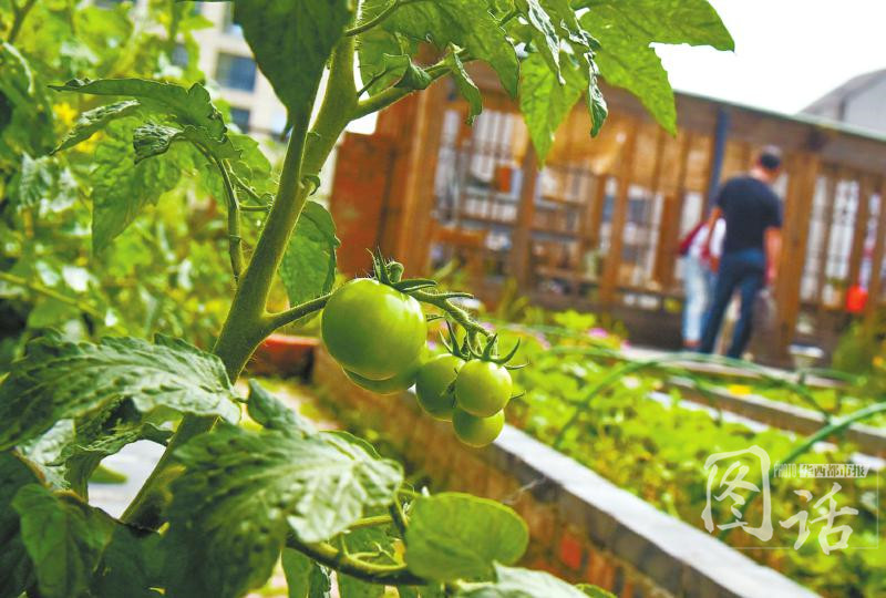 火狐电竞官方网站