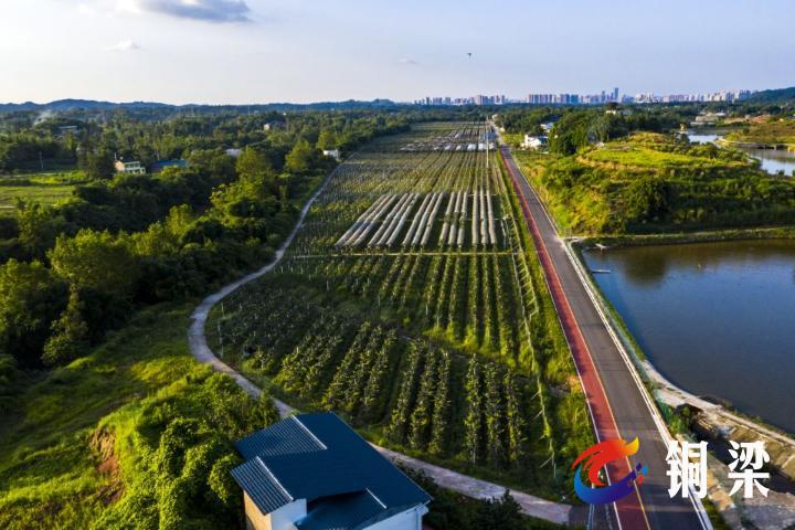 火狐电竞官方网站