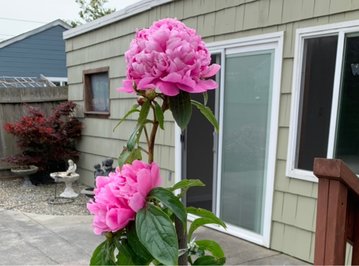 火狐电竞官方网站